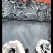 listing-video-1