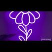 listing-video-1