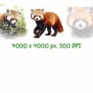 listing-video-1