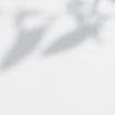 listing-video-1
