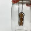 listing-video-1