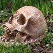 listing-video-1