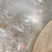 listing-video-1