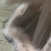 listing-video-1