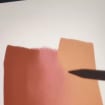 listing-video-1