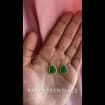 listing-video-1