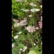 listing-video-1