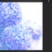 listing-video-1