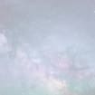listing-video-1