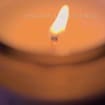 listing-video-1