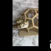 listing-video-1