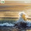 listing-video-1