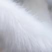 listing-video-1