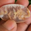 listing-video-1