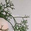 listing-video-1