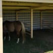 listing-video-1