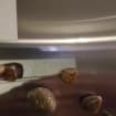 listing-video-1