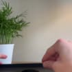 listing-video-1