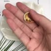 listing-video-1