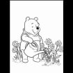 listing-video-1