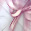 listing-video-1