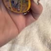 listing-video-1