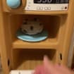 listing-video-1
