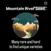 listing-video-1