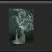listing-video-1