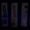 listing-video-1