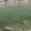 listing-video-1