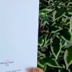 listing-video-1