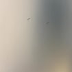 listing-video-1