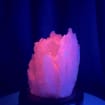 listing-video-1