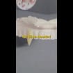 listing-video-1