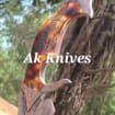 listing-video-1