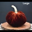 listing-video-19