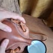 listing-video-1