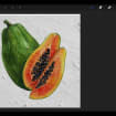 listing-video-1