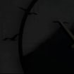 listing-video-21