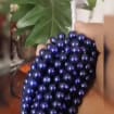 listing-video-1