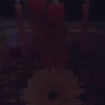 listing-video-1
