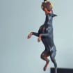 listing-video-1
