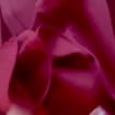 listing-video-1