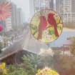listing-video-3
