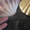 listing-video-1