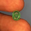 listing-video-1