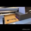 listing-video-1