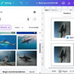 listing-video-1