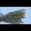 listing-video-1